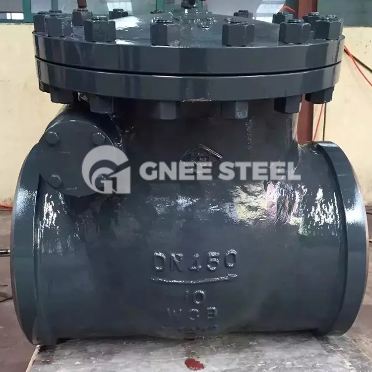 Steypujárn eftirlitsventill