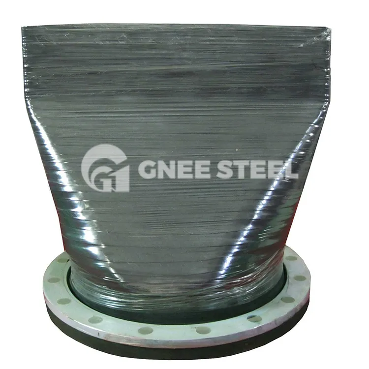 Duckbill Check Valve