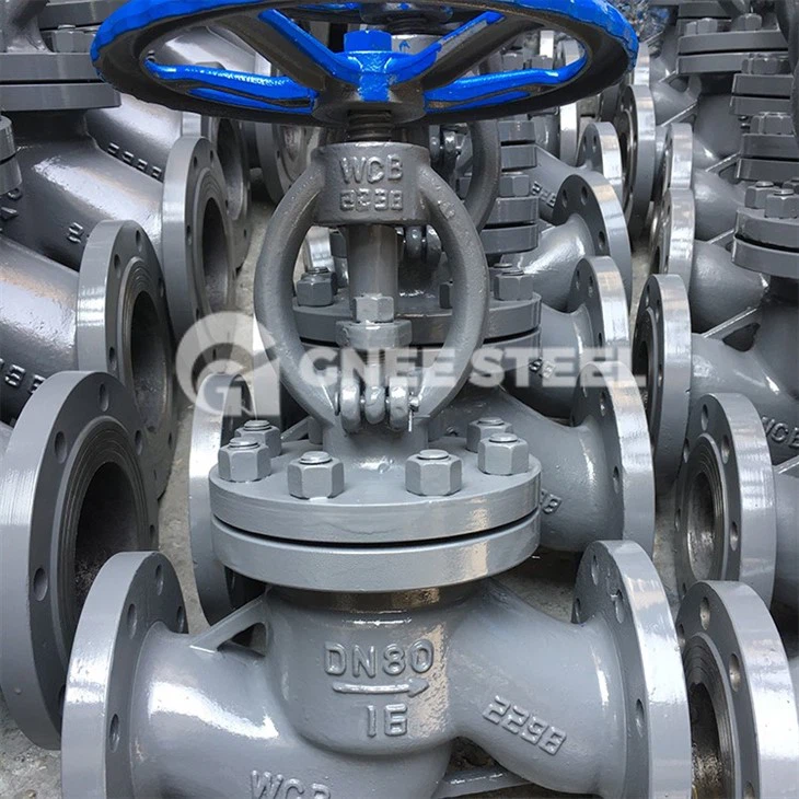stainless globe valve