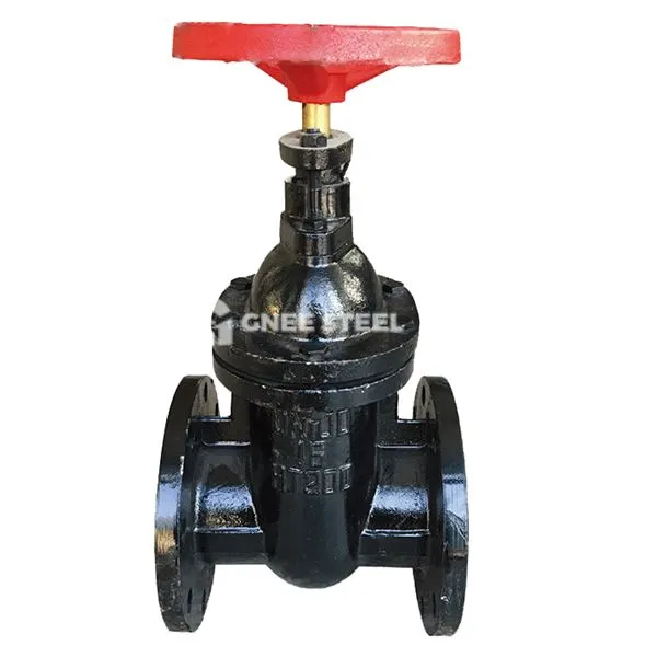 Steypujárnshlið loki