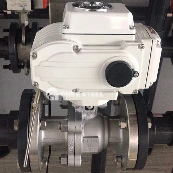 Rafmagnsskoðunarventill