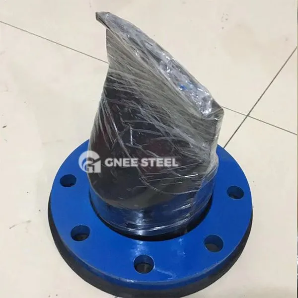 Flansed Duck Bill Check Valve