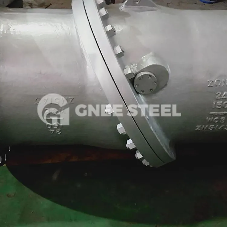 Flansað hallandi diskur afturlokar