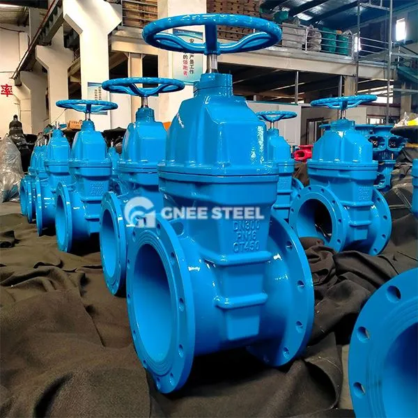 Metal-SEAL Cast Iron Gate loki