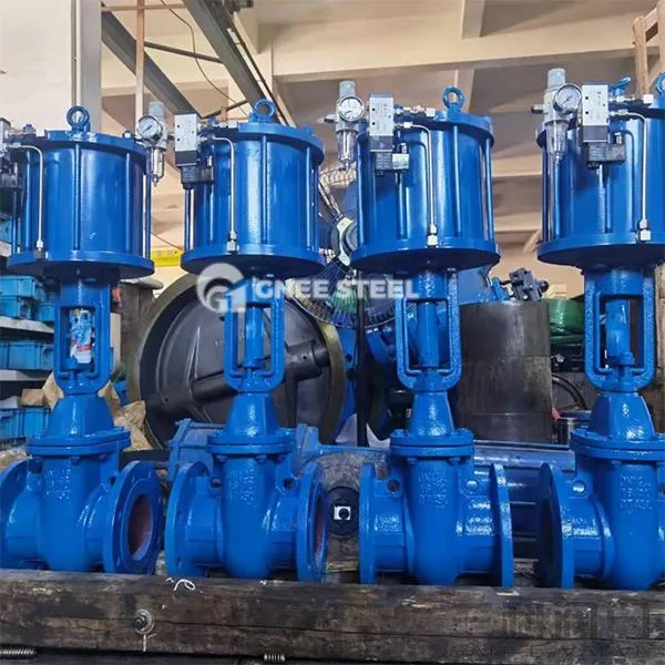 Pneumatic Wedge Gate lokar