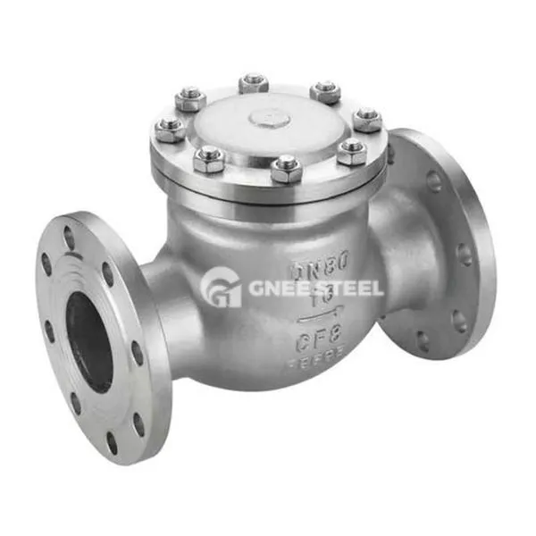 SS Check Valve